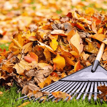 LEAF REMOVAL/SPRING CLEANUP