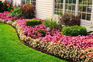 FLOWERBED CLEANING