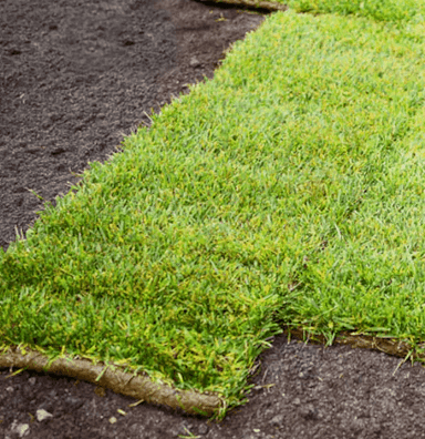 SOD INSTALLATION